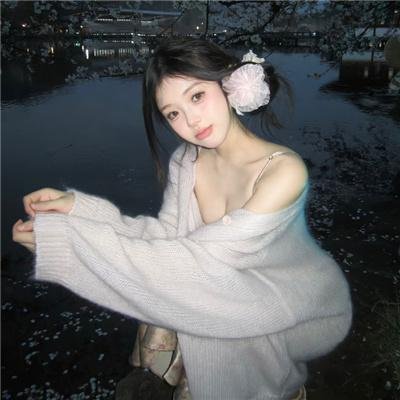 嘲笑的淑女 海报
