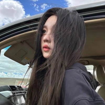 森林 海报