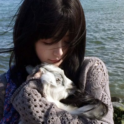 独行神枪侠 海报